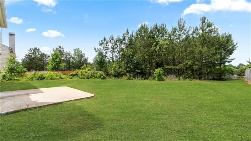 Backyard and patio